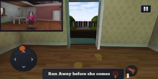 Scary Teacher 3D